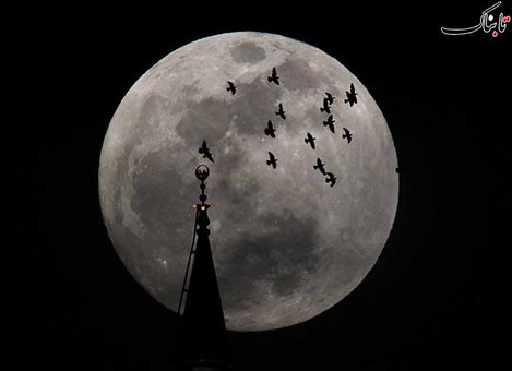 اردن، Ali Jarekji/Reuters