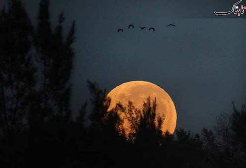 ژوهانسبورگ، Kim Ludbrook/EPA