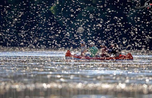 Reuters/Laszlo Balogh