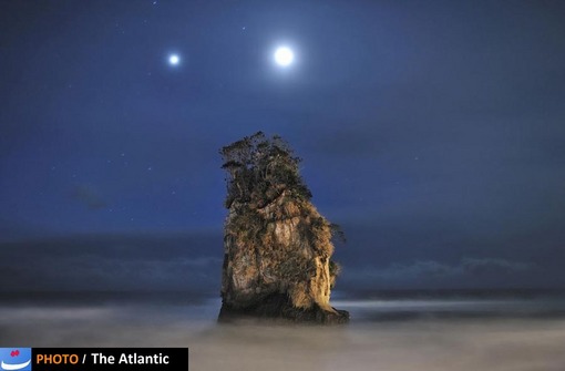 Dr. Akira Takaue/National Geographic Photo Contest