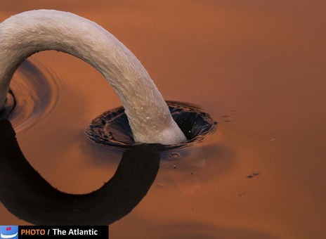  Mark Bates/National Geographic Photo Contest