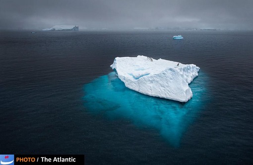 Joshua Holko/National Geographic Photo Contest