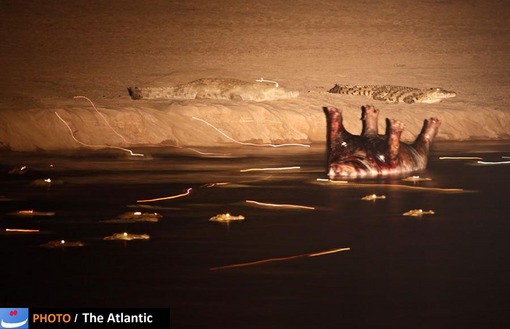 Stephan Tuengler/National Geographic Photo Contest