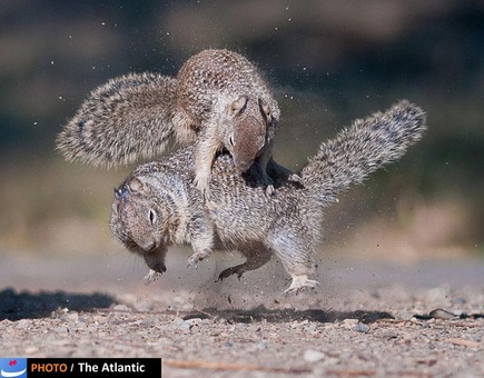 Chih-Hung Kao/National Geographic Photo Contest