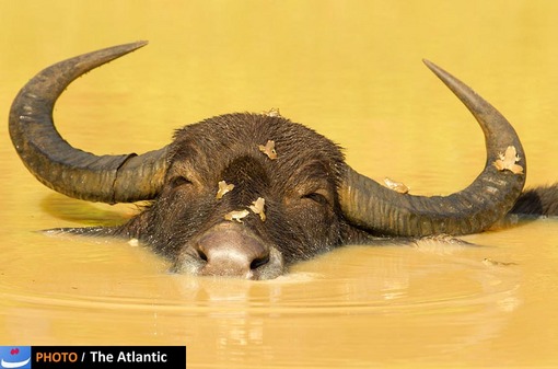 Ondrej Zaruba/National Geographic Photo Contest