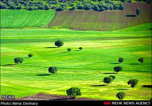 طبیعت اطراف  آبشار بیشه لرستان