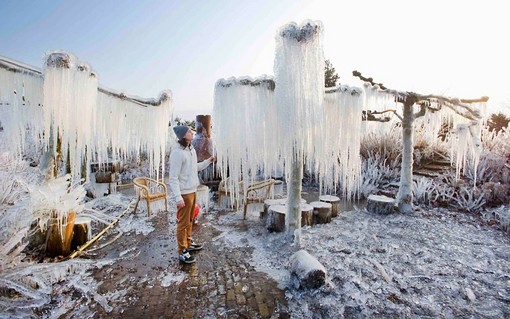 قندیل بستن درختان در پارک گیاهان هرونوین، هلند
REUTERS/Paul Vreeker/United Photos
