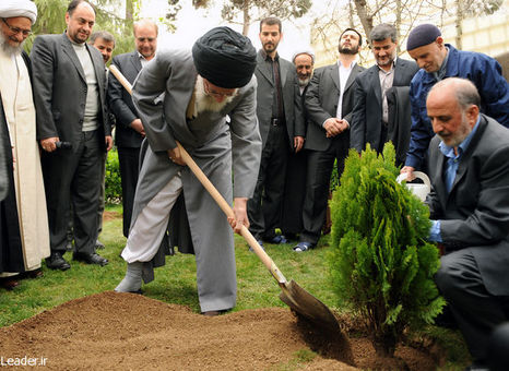 کاشت نهال همزمان با هفته منابع طبیعی توسط رهبر انقلاب