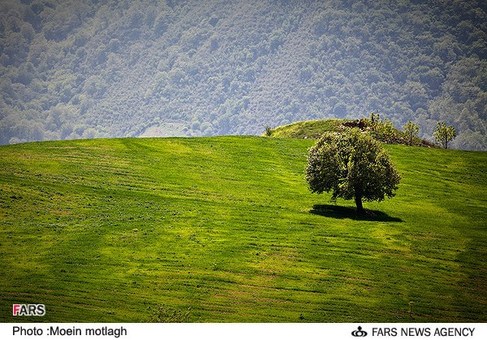 طبیعت بهاری استان گلستان