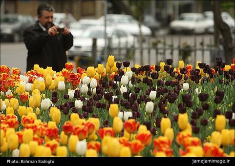 گلهای لاله در بوستانهای تهران رنگ و بوی بهاری به پایتخت بخشیده اند.
یکشنبه 18-01-92	
