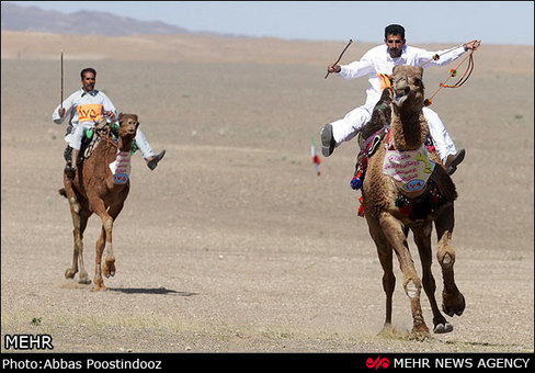 مسابقات شتر سواری