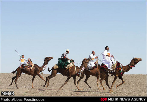 مسابقات شتر سواری قهرمانی کشور صبح روز جمعه در روستای مصر برگزار شد.