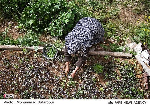زندگی در روستای رویین اسفراین
