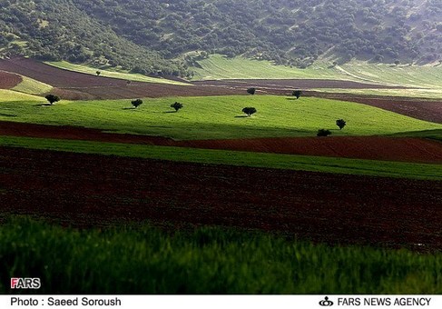 طبیعت بهاری لرستان