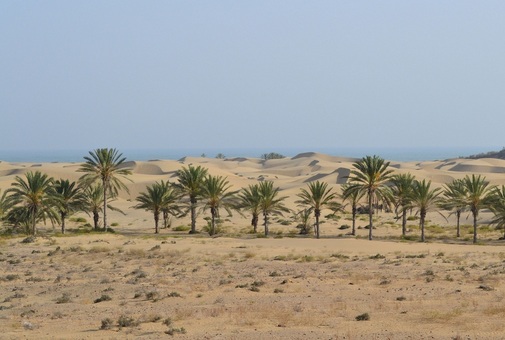 عکس شمار ه 3 : سواحل روستای تنگ