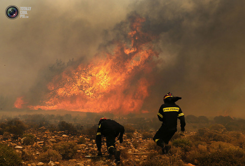 آتش سوزی جنگل در آتن
YANNIS BEHRAKIS/REUTERS
