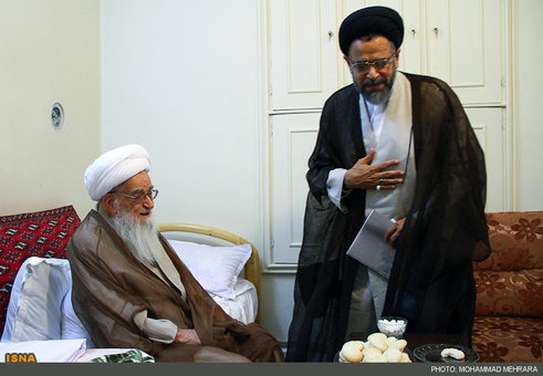 دیدار حجت&zwnj;الاسلام والمسلمین سید محمود علوی با آیت الله صافی گلپایگانی در مشهد