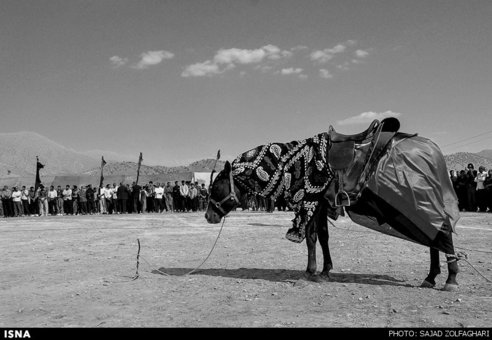 آیین سنتی چمر ـ ایلام