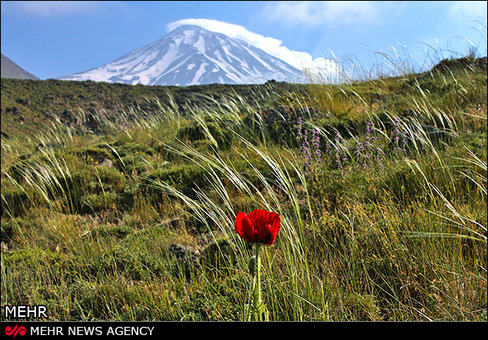 طبیعت دماوند