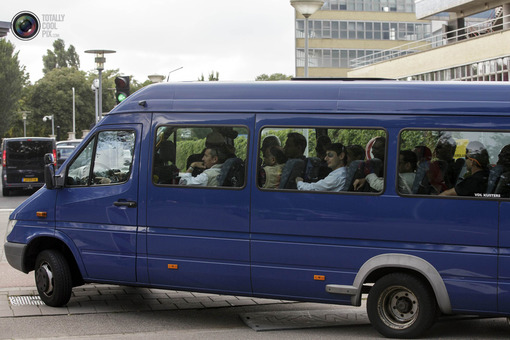 لاهه، هلند: کارشناسان بررسی تسلیحات شیمیایی 
STRINGER/REUTERS
