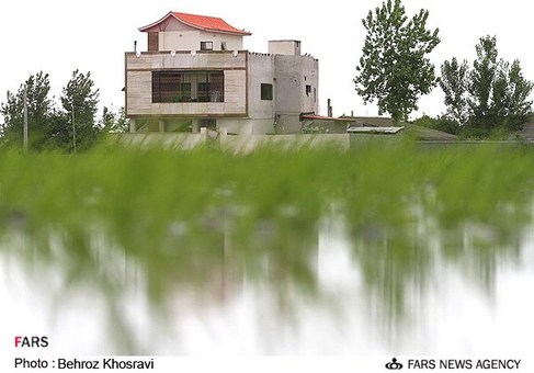 ساخت و ساز غیر مجاز در شالیزار های استان مازندران