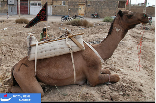 کاروان عزاداران حضرت اباعبدالله در خمینی شهر اصفهان