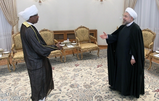 فاتح عزالدین منصور رییس مجلس سودان روز چهارشنبه با حسن روحانی رییس جمهوری اسلامی ایران دیدار و گفت و گو کرد
