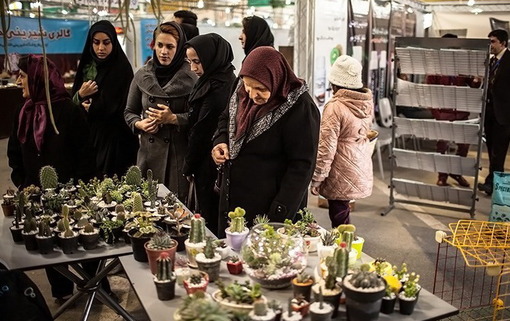 جشنواره گل و گیاه - بابل/تسنیم
