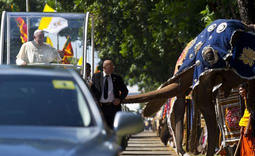 حضور پاپ در سریلانکا و مراسم استقبال از وی با حضور فیل‌ها./AP
