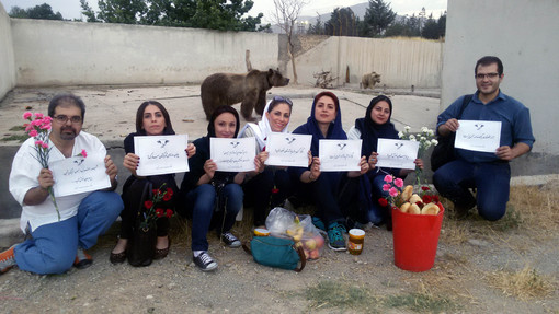 کارگروه حذف حیوانات از سیرکها ساعتی پس از انتقال خرس سیرک پرشین به پردیسان؛ خرسی که دندانهایش را در سیرک با سیم چین بریده بودند!
