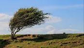منتظر هوای بهاری در زمستان باشید!