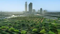 از ایران تا عربستان؛ نگاهی به توسعه، فرهنگ و تاریخ/ ساختن جنگل در ریاض، سوختن جنگل در الیت