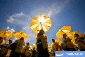 عکس‌های روز جهان: از دریچه تابناک