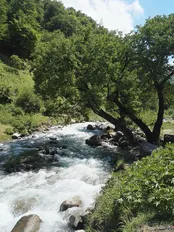 طبیعت زیبای كلاردشت