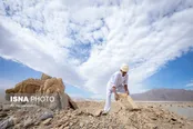 قنات در سرزمین قنوت و قناعت