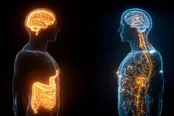 کاهش چربی شکم، مغز را چند دهه جوان می‌کند