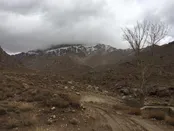 نير يزد دامنه شير كوه