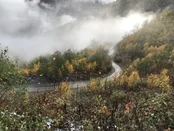 مسیر گرگان - شاهرود/جنگل توسکستان