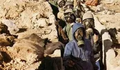 ارتش استرالیا علیه شترمرغ‌ها / سربازان بریتانیایی در پایتخت کره شمالی / تروریسم مدرن از کجا آمد؟ / سلاح شیمیایی در دفاع مقدس