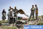 پرندگان شکاری به آسمان الوند بازگشتند