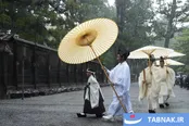 عکس: بازسازی معبد ایسه؛ تداوم سنتی ۱۳۰۰ ساله در ژاپن