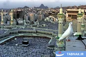 مناسک حج؛ سنتی ثابت در دنیایی متغیر