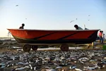 تابناک