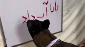 فارسی نوشتن یک سگ: بابا آب داد!