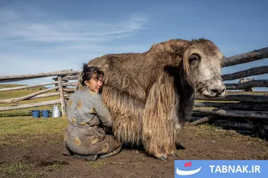 عکس: تغییرات اقلیمی در شمال مغولستان