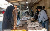 پایان مهاجرکشی در مازندران