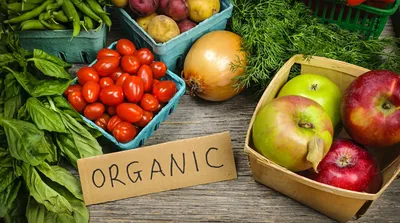 آیا غذای ارگانیک واقعاً سالم‌تر و بهتر است؟