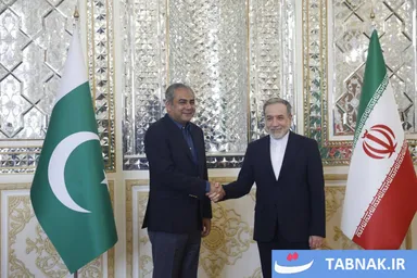 عکس: دیدار وزیر کشور پاکستان با وزیر خارجه کشورمان