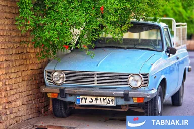 عکس: سرخی شکوفه‌های انار بر تن کویر