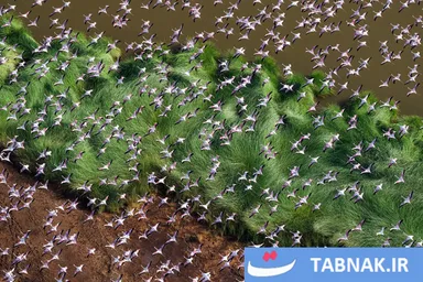 عکس: از چشم‌اندازهای عظیم تا جزئیات نامرئی